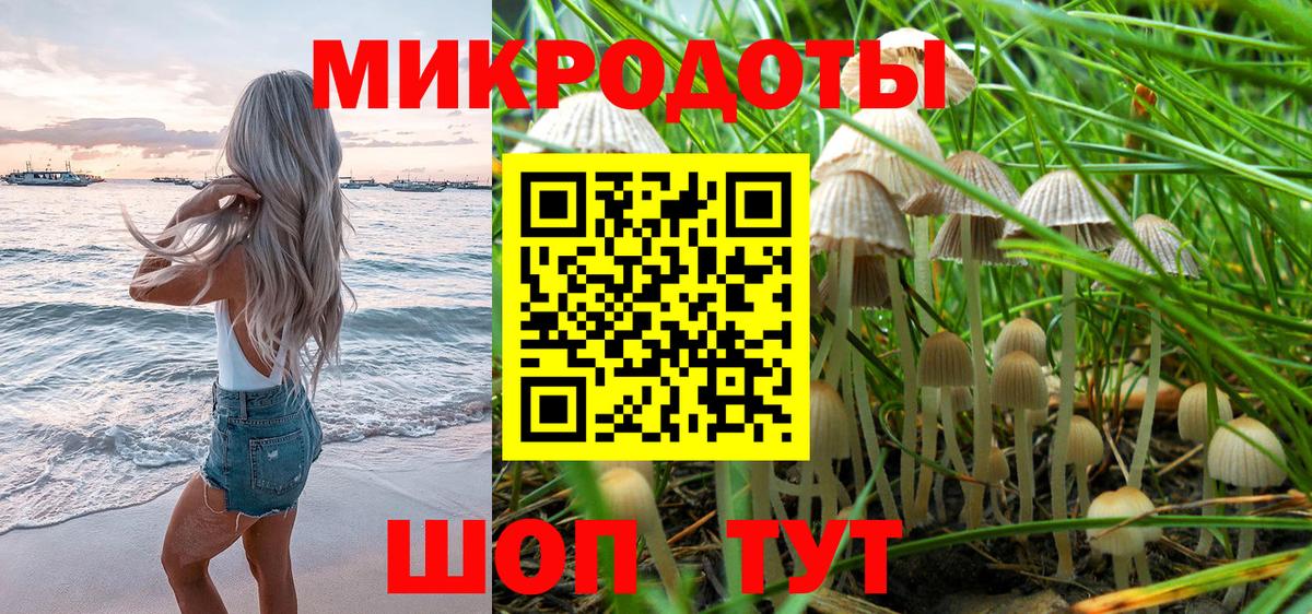 Галлюциногенные грибы Cubensis  Галлюциногенные грибы мицелий  Артём  Вход с VPN 